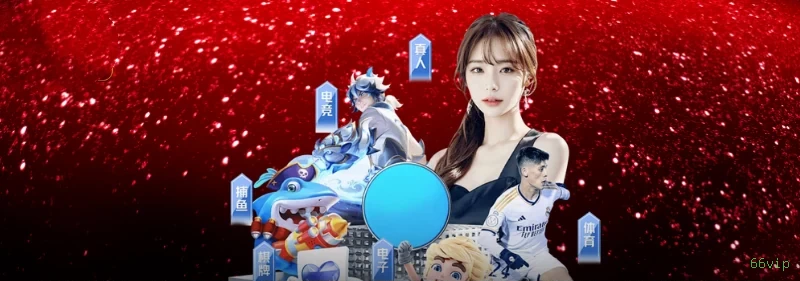 Controles de paJogonto e BRL em 66vip